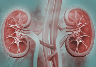 Chronic Kidney Disease - San Antonio Kidney